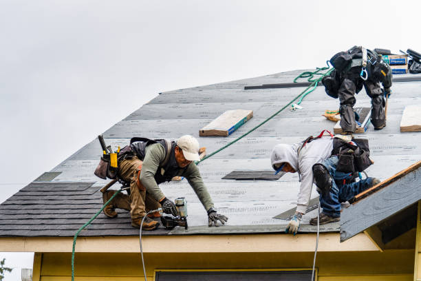 Professional Roofing technician working in Meadows Of Dan, VA